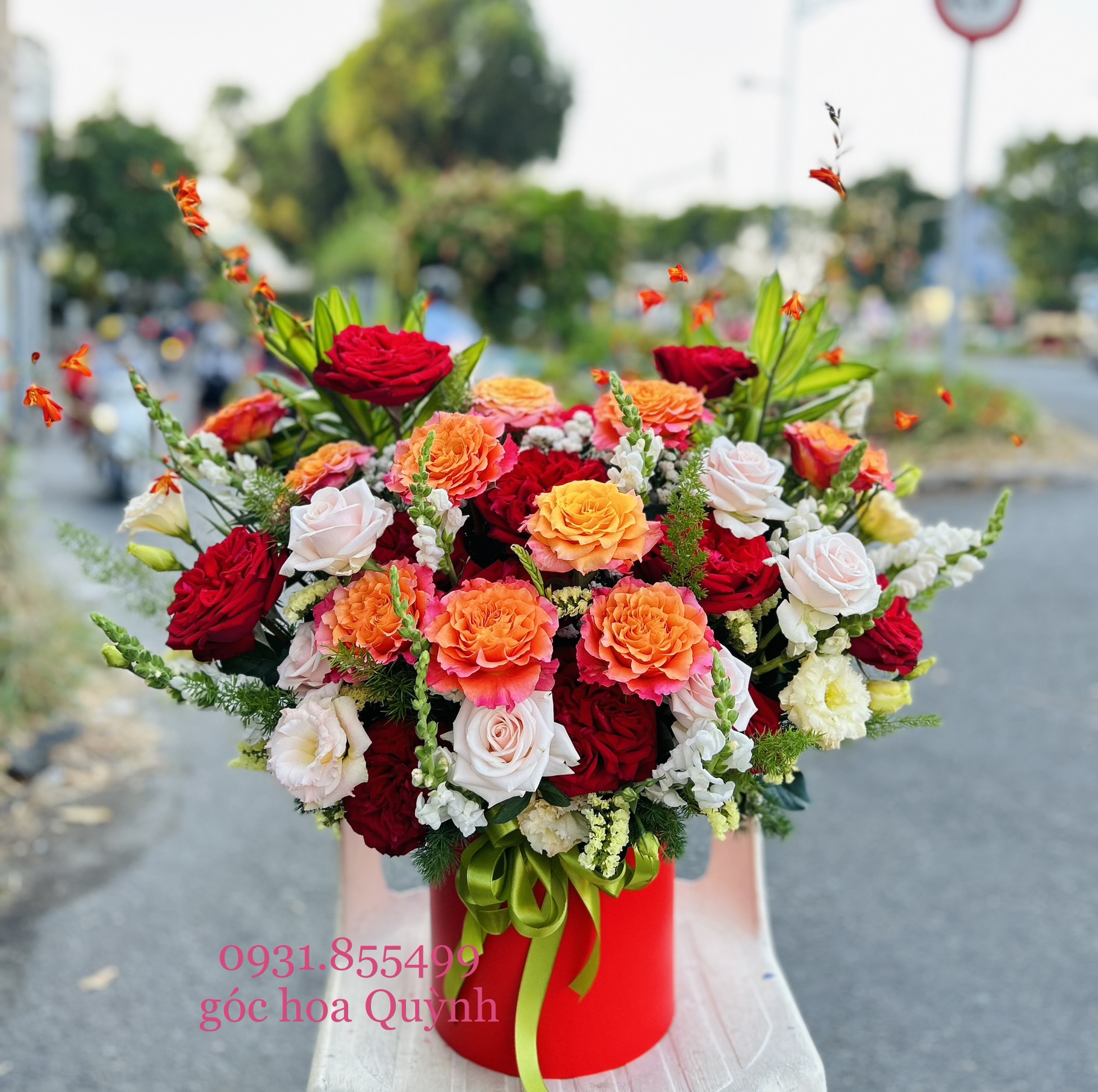 Gửi Thư tình vào Nắng- Nắng nuôi hoa thêm xinh