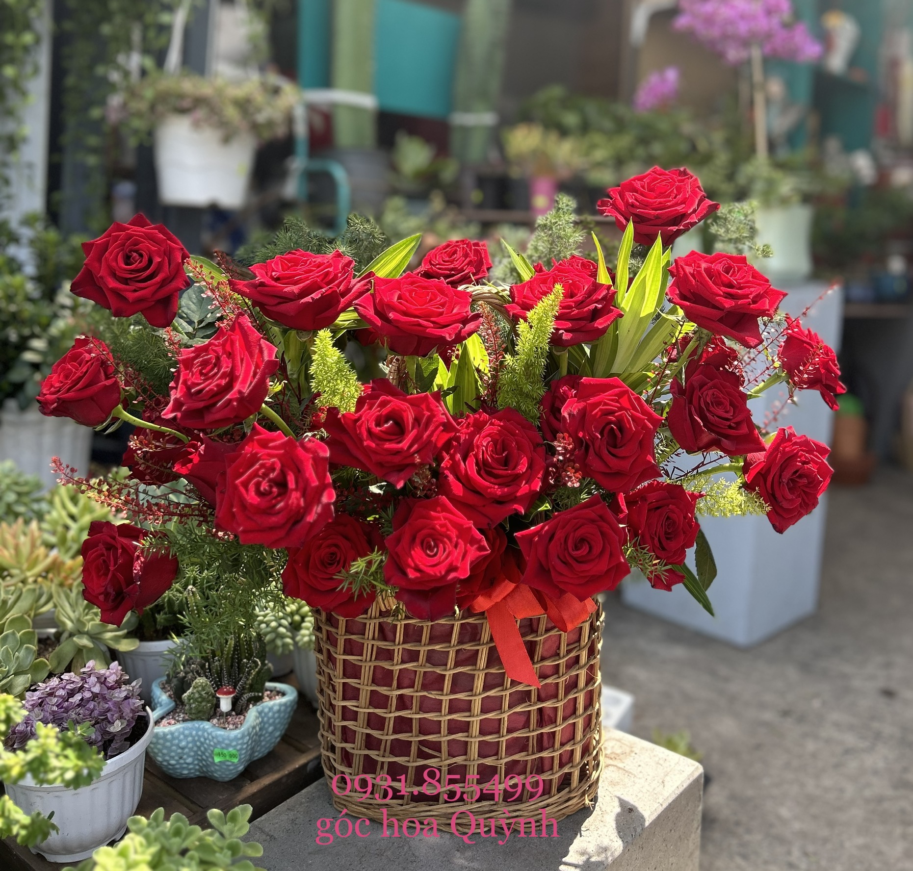 Chỉ 1 tình yêu