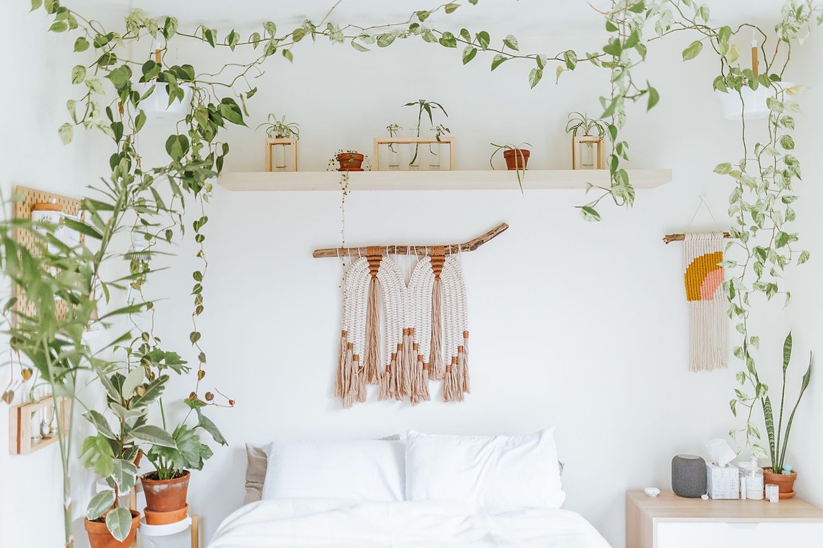 Phòng ngủ trắng trang trí bằng dây trầu bà leo kệ, cây nhỏ trong chậu và mành macrame